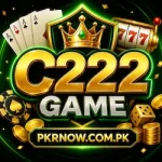C222 Game