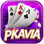 PKAVIA Game