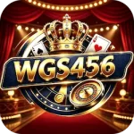 WGS456 Game